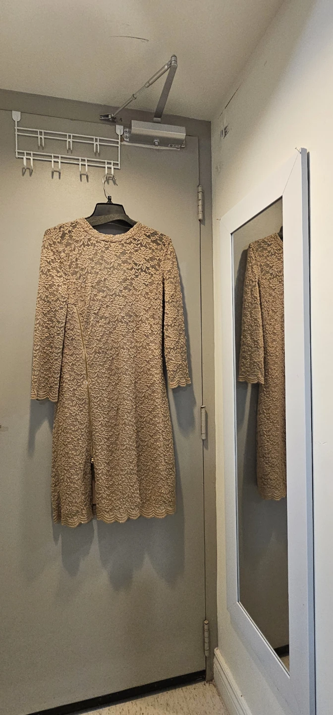 ABS Allen Schwartz Beige Lace Dress