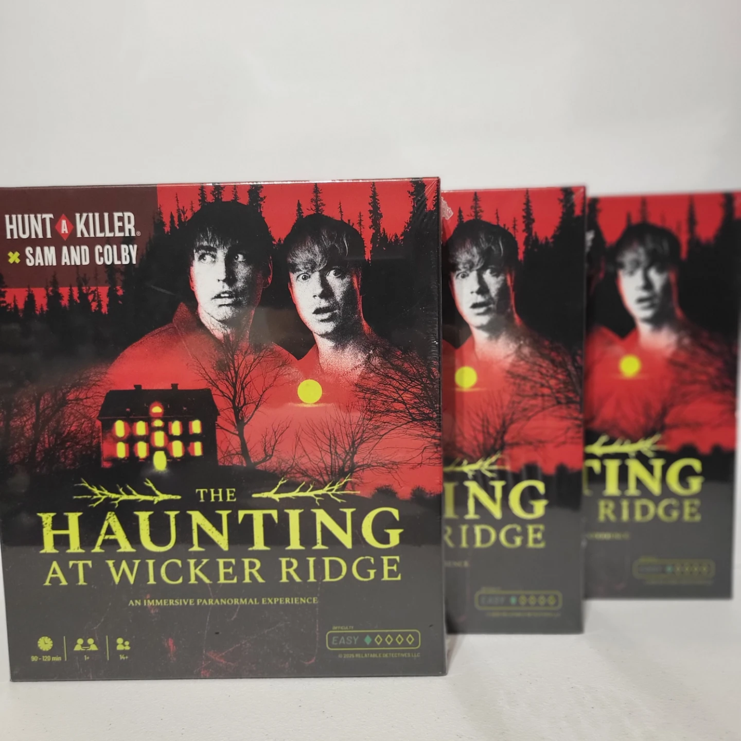 Hunt A Killer Sam and Colby The Haunting at Wicker Ridge - photo 4