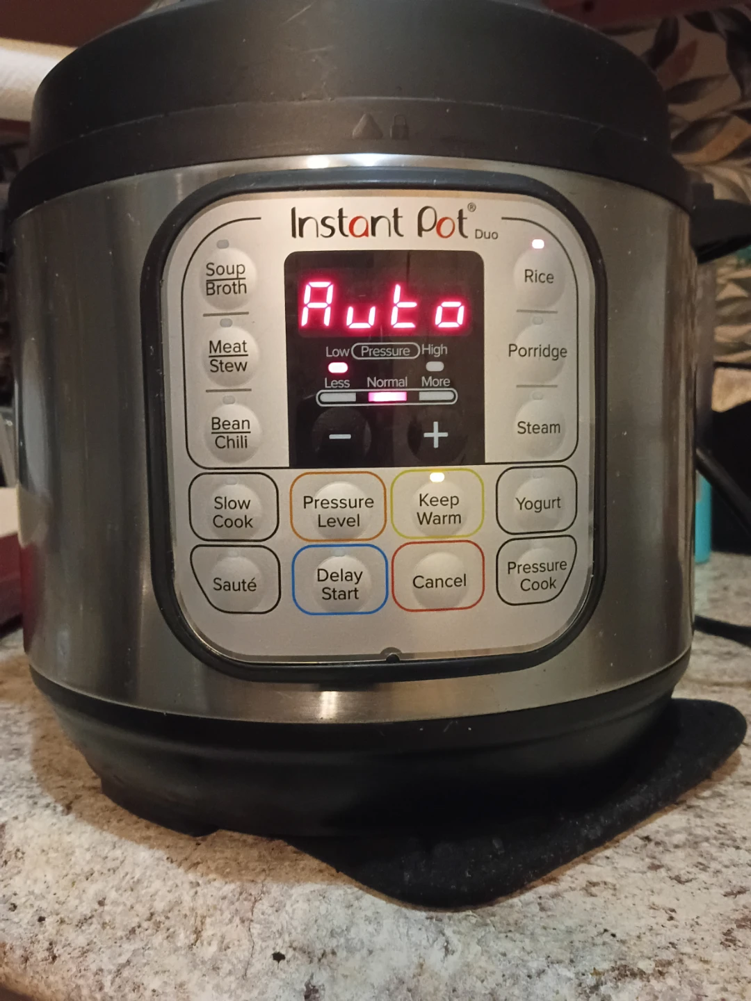 Instant Pot Duo Pressure Cooker