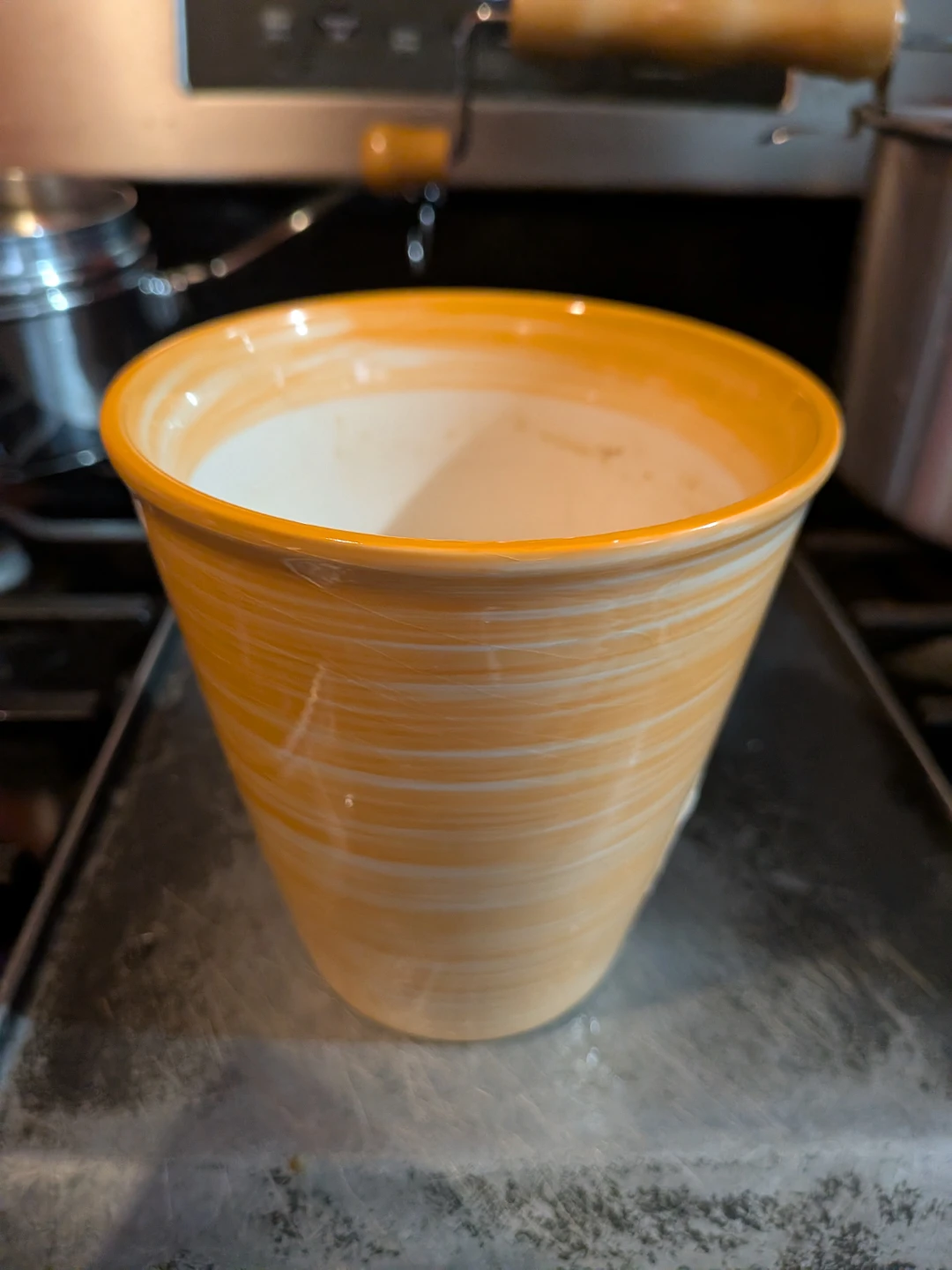 Trader Joe's Ceramic Plant Pot