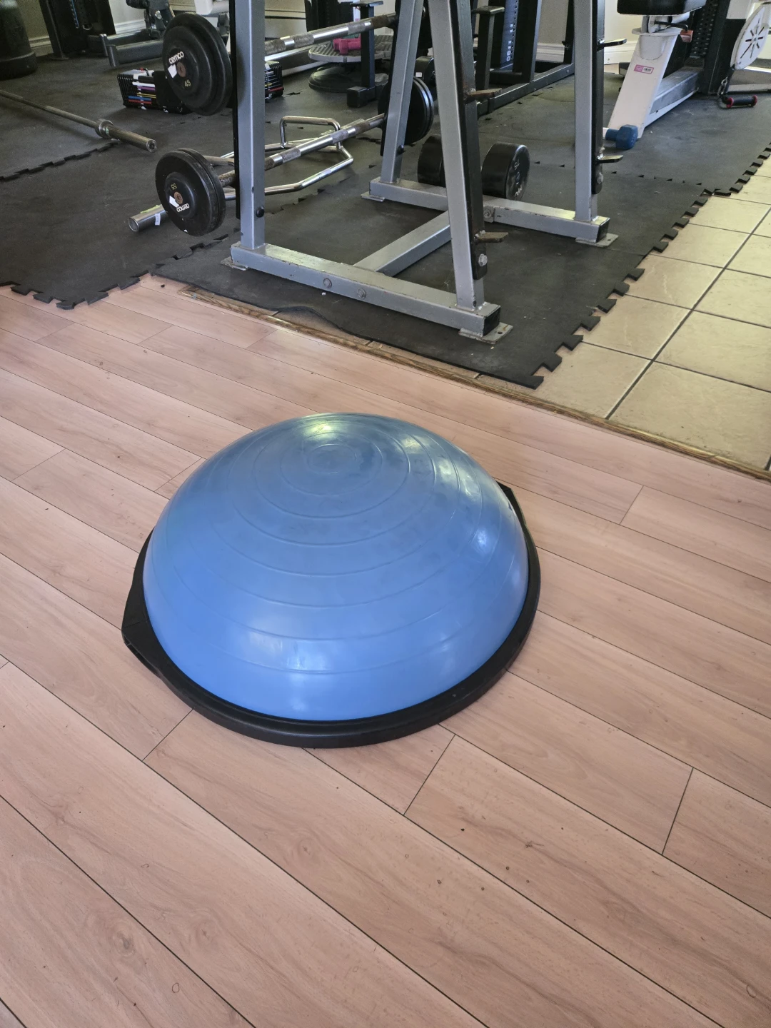 Bosu ball trainer.