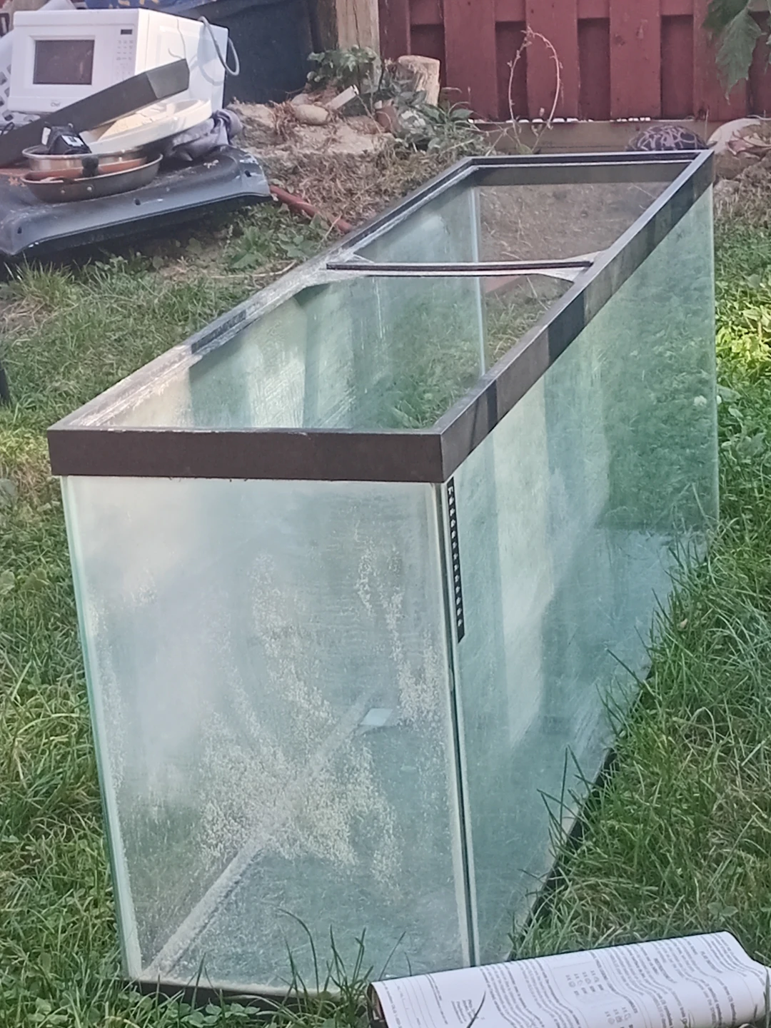 Large Glass Aquarium Tank