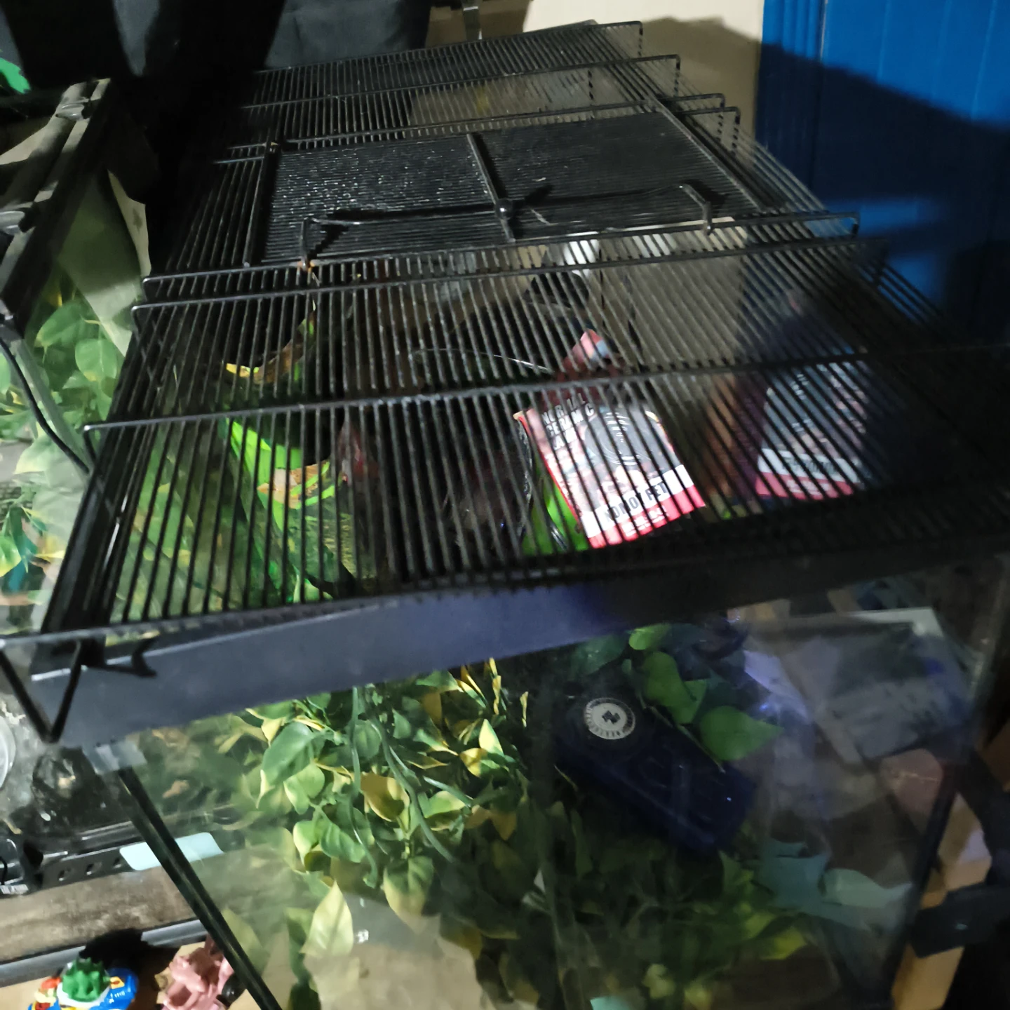 Exo Terra Glass Terrariums with Decor and 30gal tank - photo 5