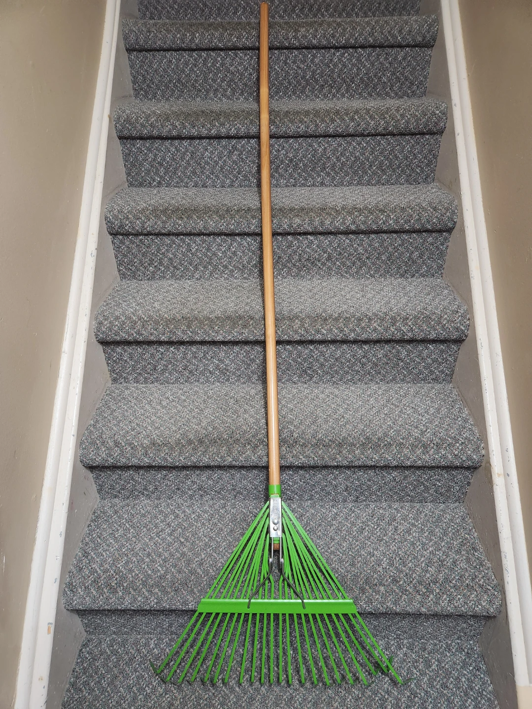 Tempered Steel Leaf Rake
