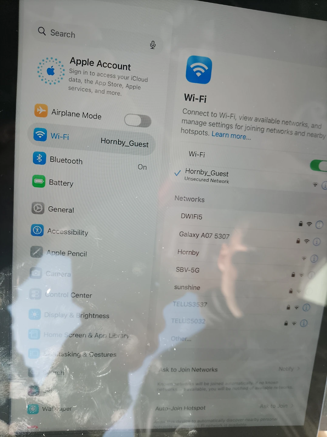 Apple iPad