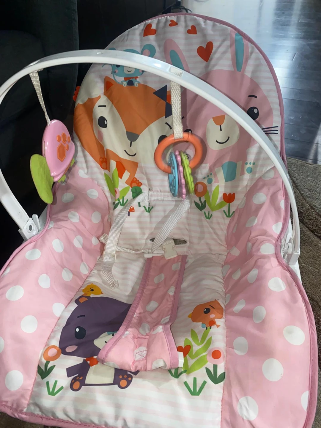 Fisher-Price Infant Bouncer