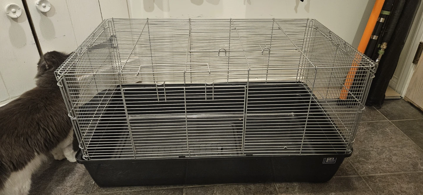Hamster cage, carrier, wooden exercise wheel and more