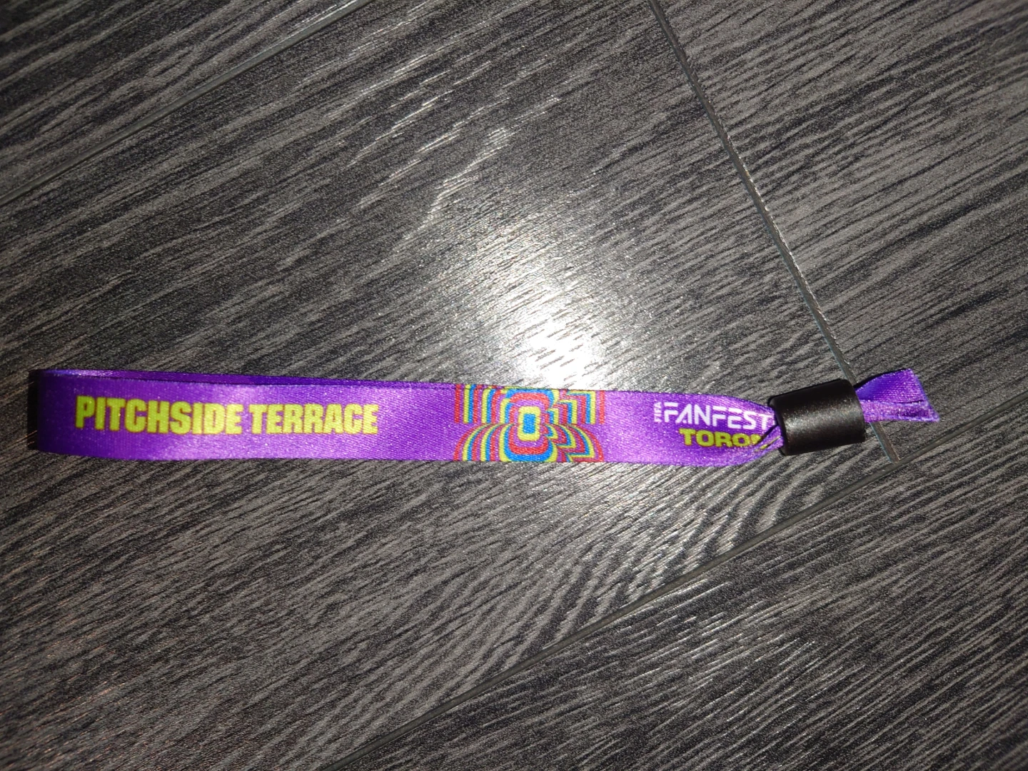 FIFA World Cup in 026 FanFest VIP Wristband - photo 2