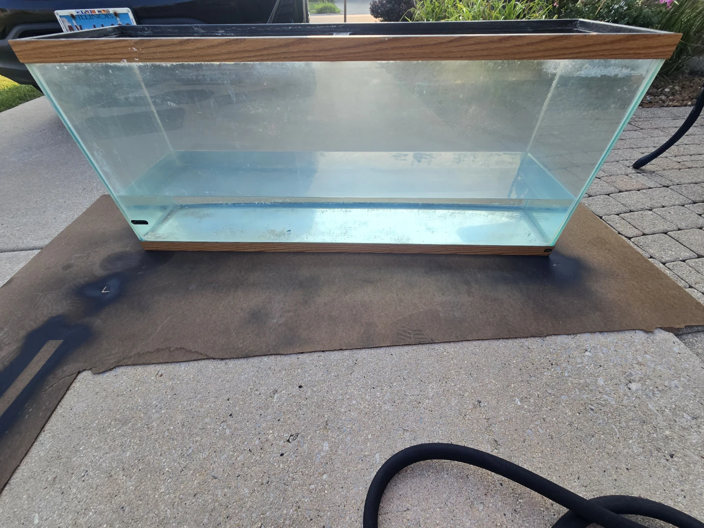 55-Gallon Glass Aquarium with Black Metal Stand - photo 4
