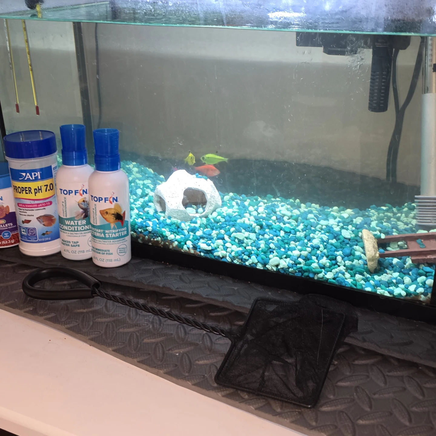 Fish Tank with Supplies