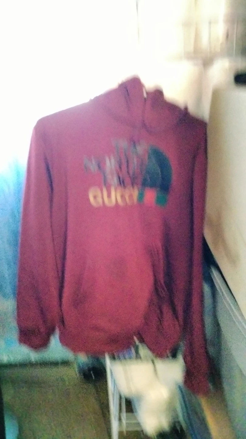 The North Face x Gucci Maroon Hoodie