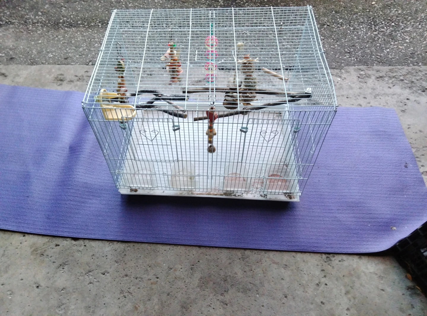 Small Bird Cage - photo 3
