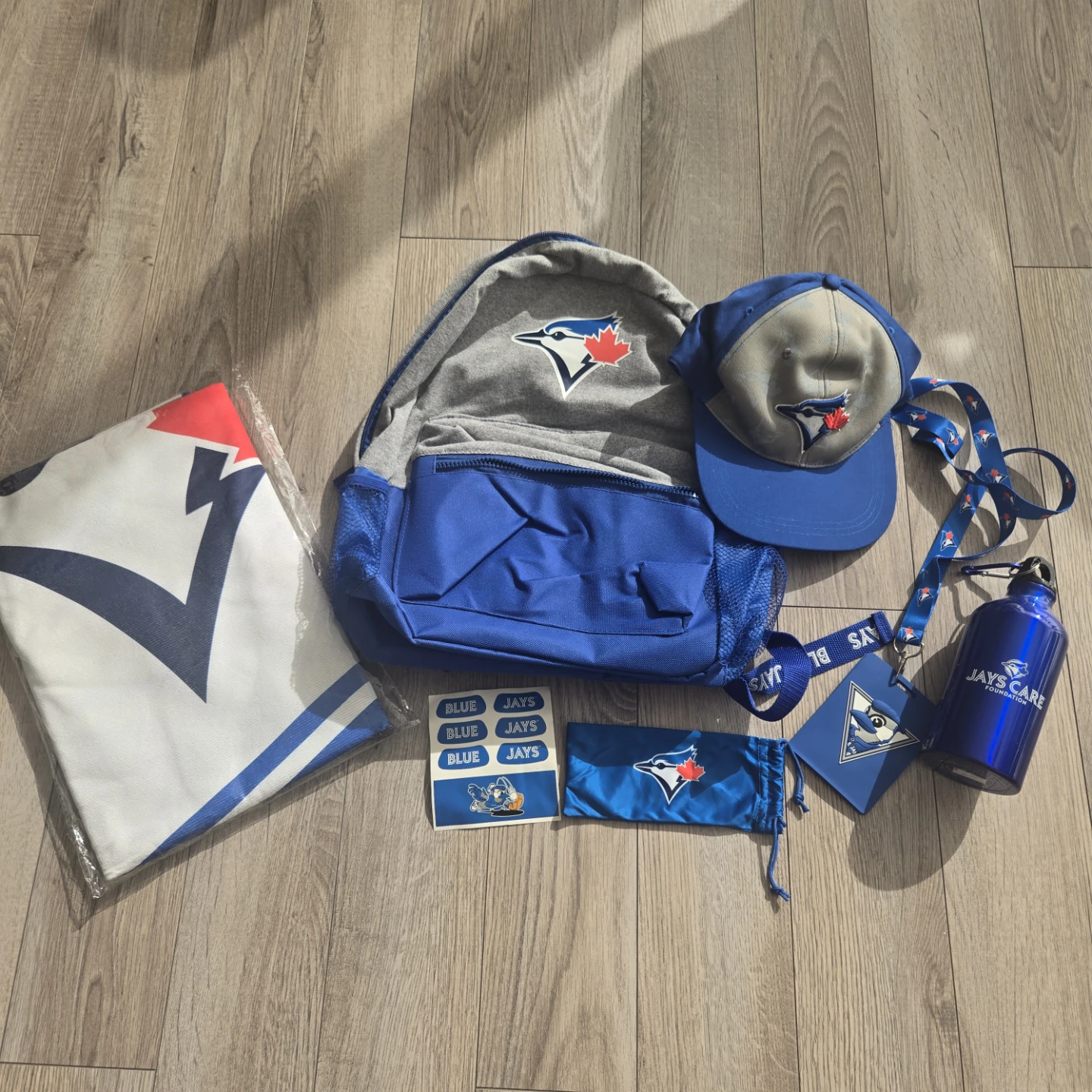 Toronto Blue Jays Fan Merchandise Bundle