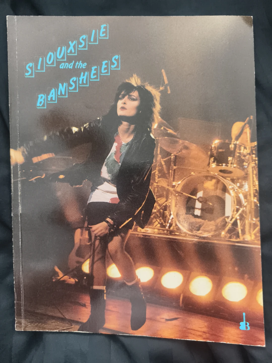 Siouxsie and the Banshees book