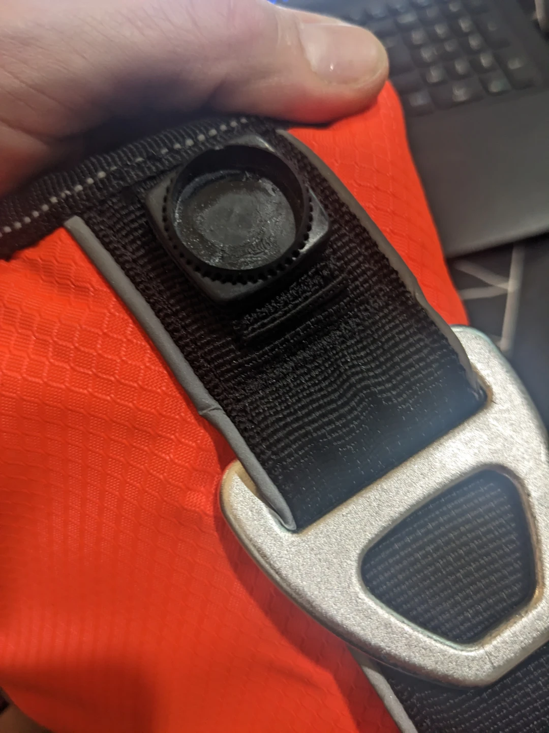 Arcadia Trail Dog Life Jacket - photo 4