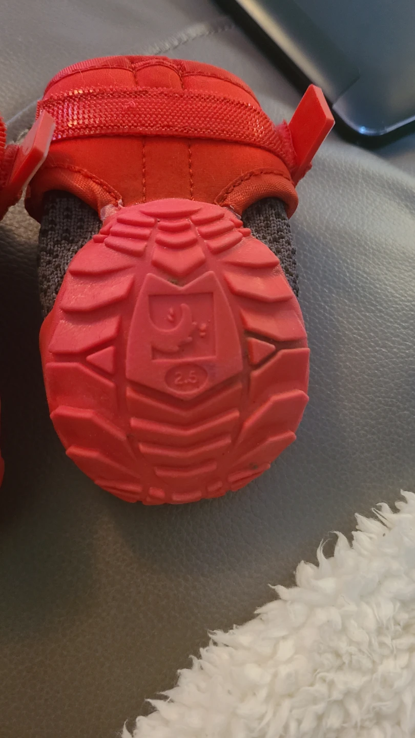 RC Pets Apex Dog Boots Set -  (Front 2.75" / Back 2.5") - photo 2