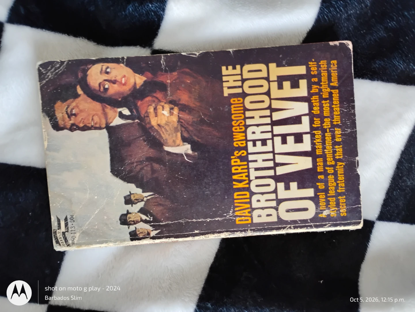 The Brotherhood of Velvet by David Karp