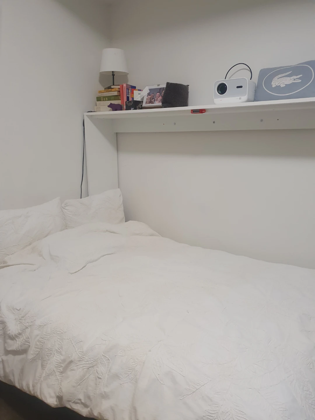 Wall-Mounted Murphy Bed - photo 3
