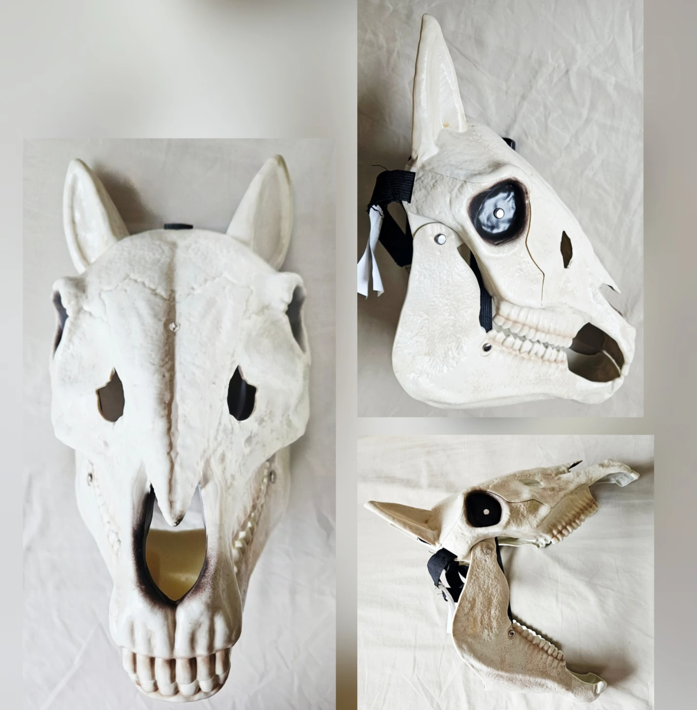 Horse Skeleton Skull Mask 🐎