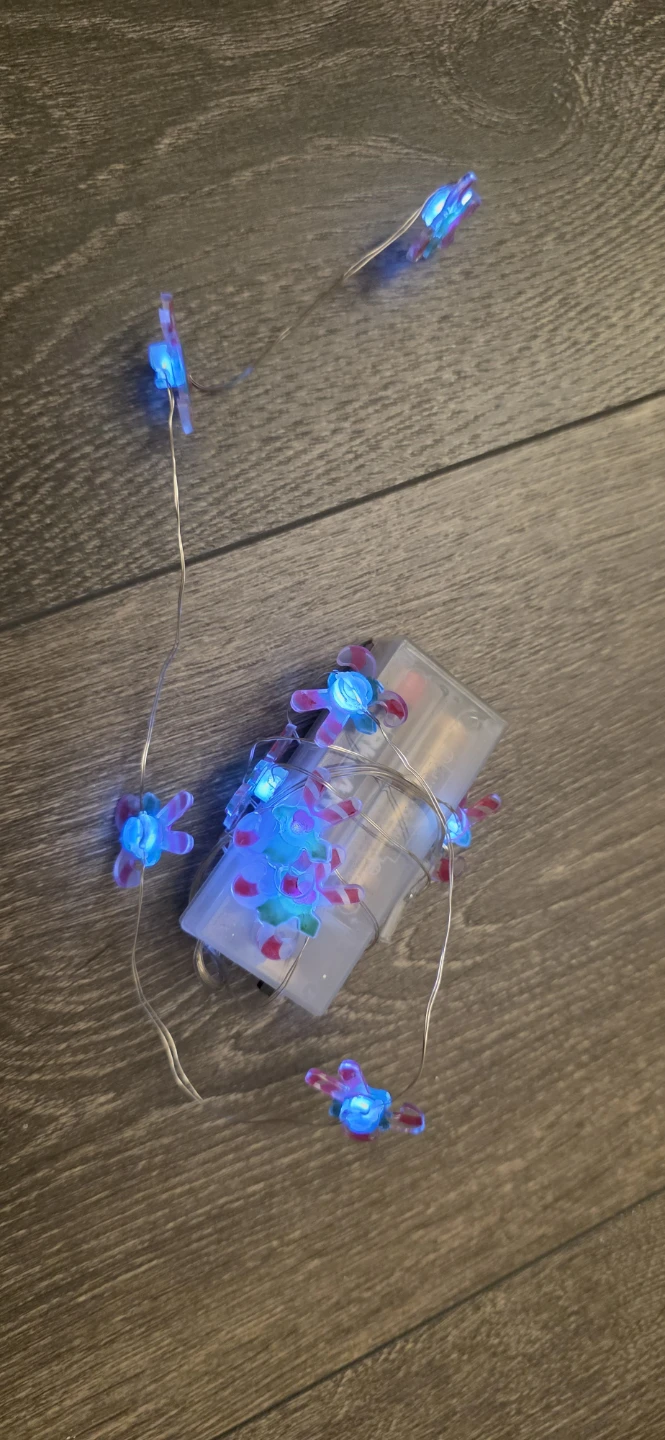 Battery Operated LED String Lights - photo 2