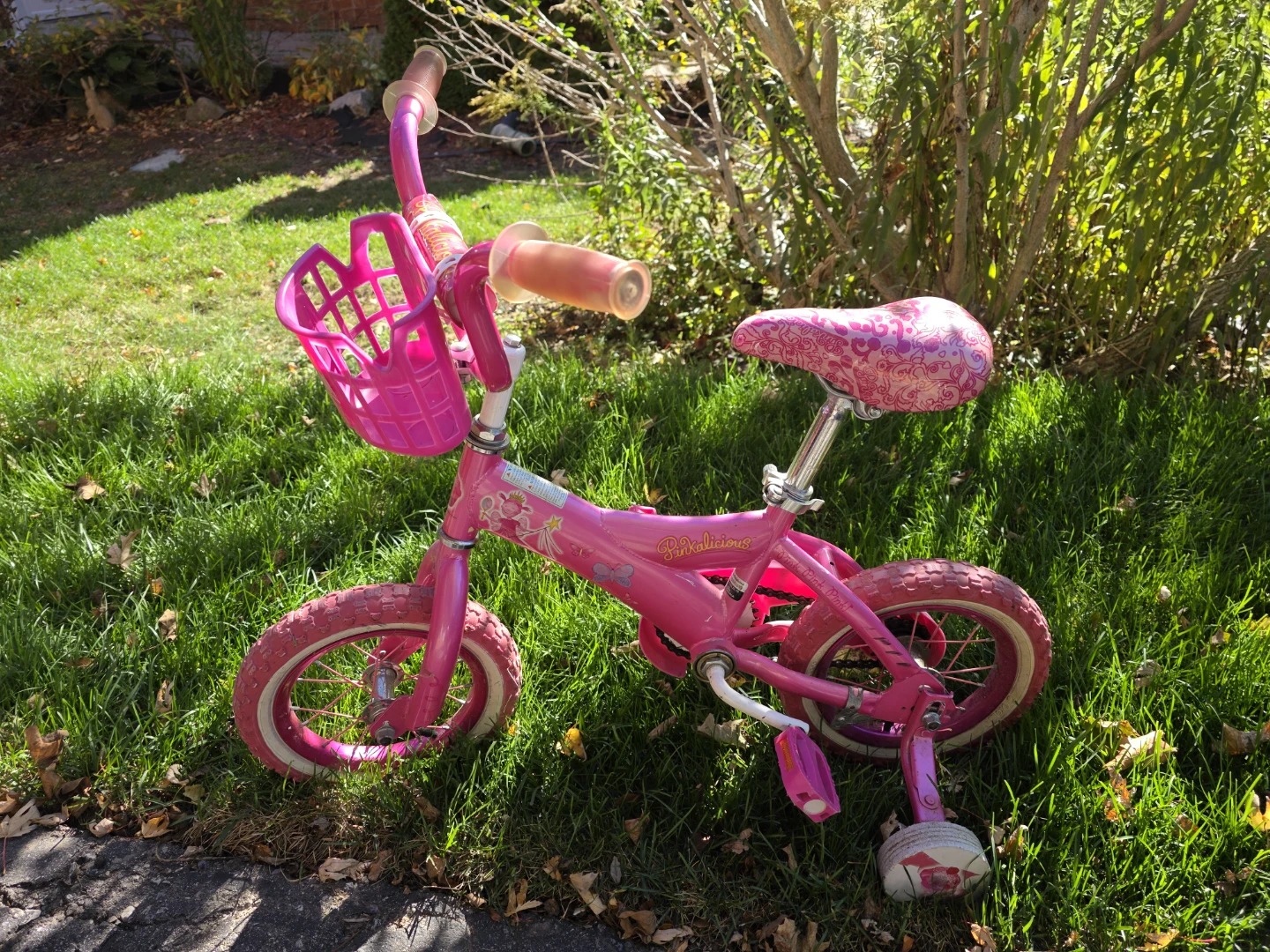 Girls Pinkalicious Bicycle -- 12", Training Wheels & Basket - photo 5
