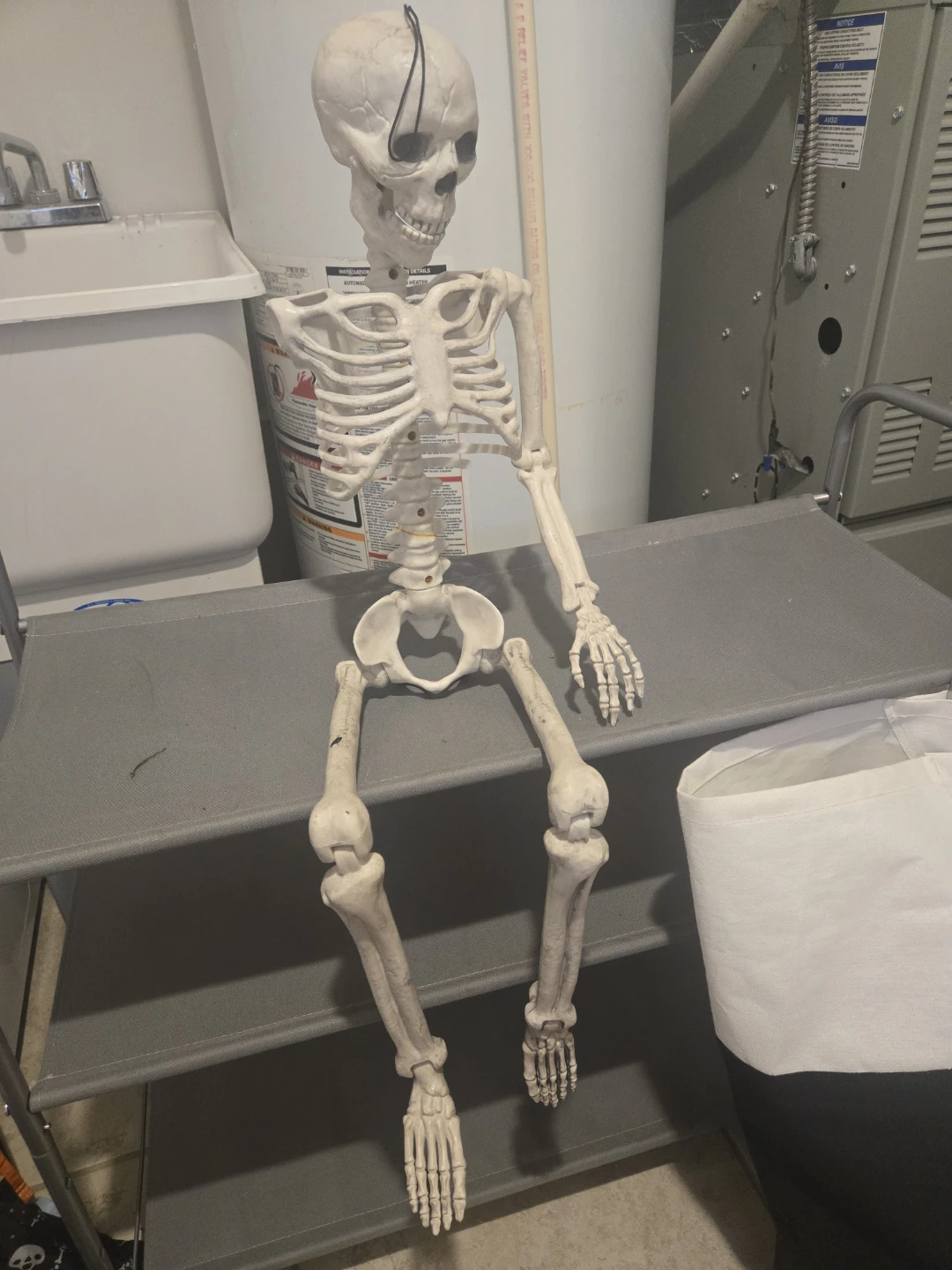 Plastic Skeleton Decoration