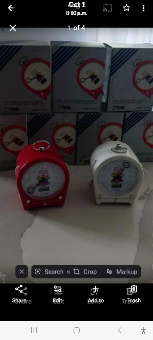 Prosonic Pig Novelty AM/FM Radio Alarm Clock