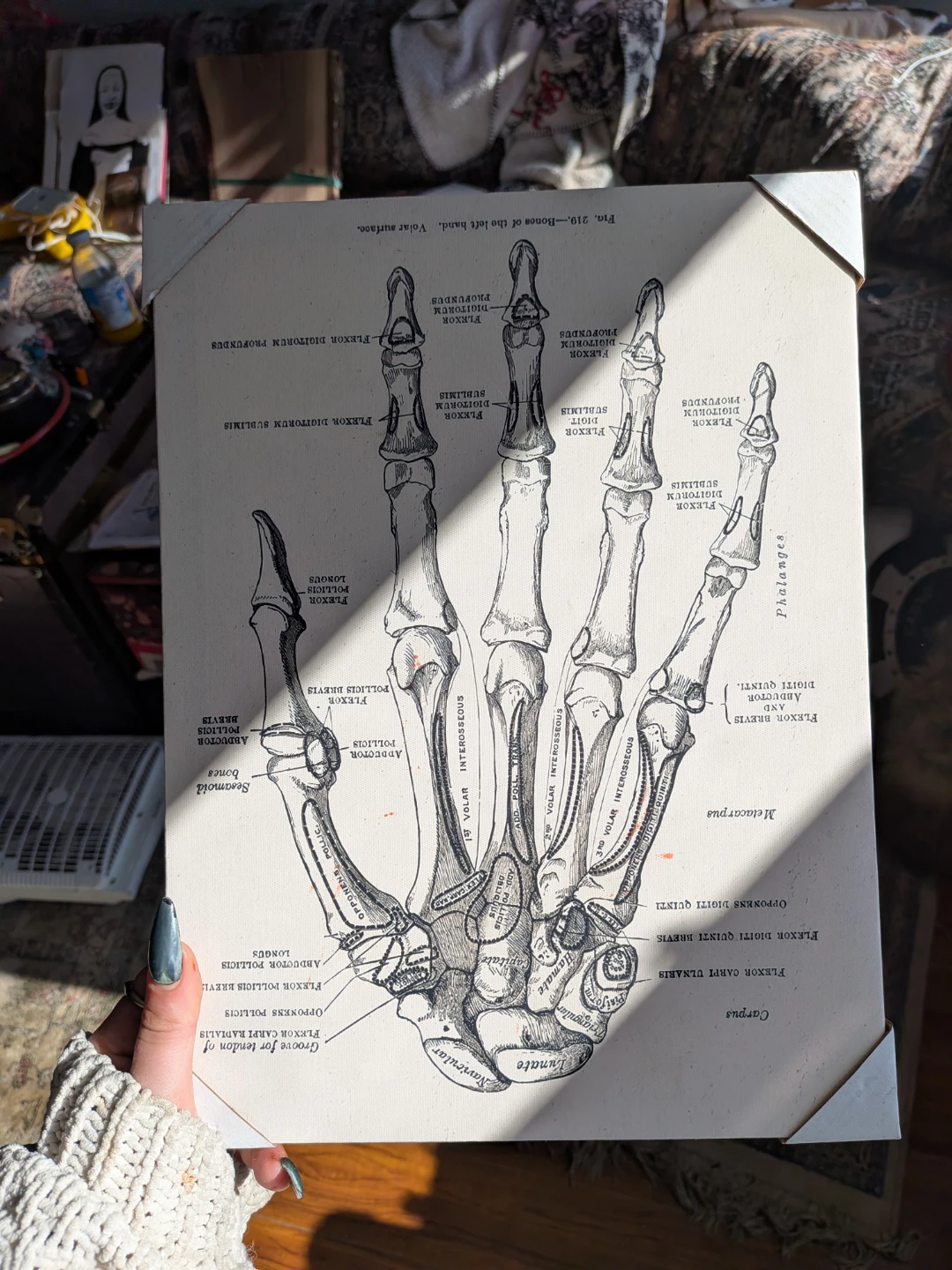 Hand Anatomy Canvas Art - photo 2