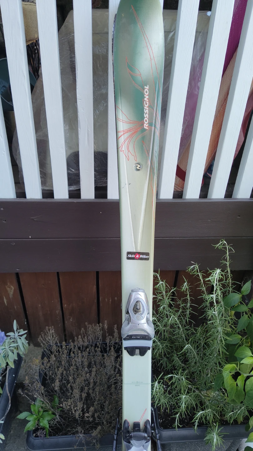 Rossignol Saphir Snow 2 Skis - photo 3