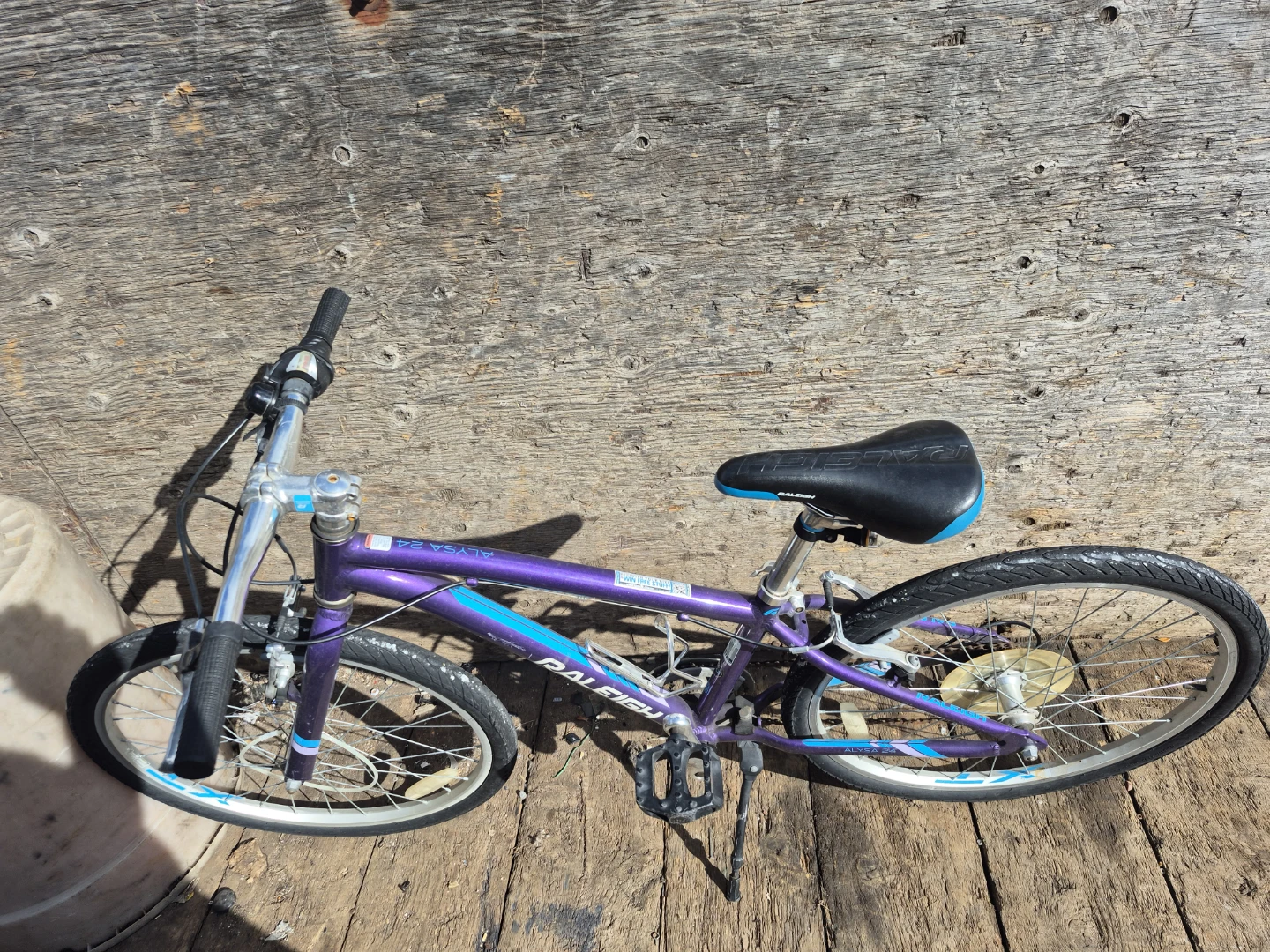 Raleigh Alysa 24 Kids Bicycle