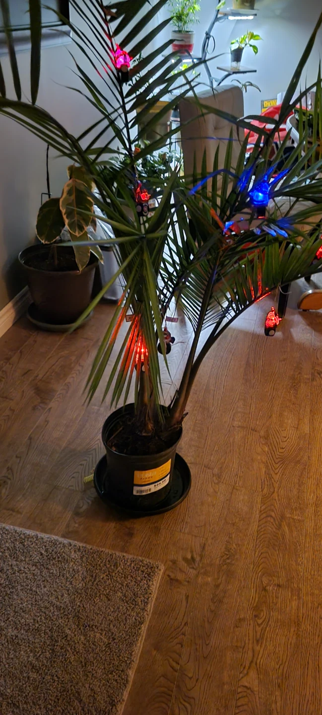 Montreal Canadiens Light-Up Hockey Puck Ornament - photo 3