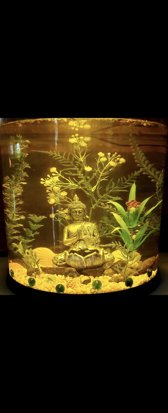 Aquarium 10 Gallon with Filter