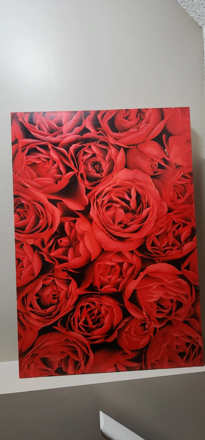 Red Rose Canvas Wall Art - photo 2