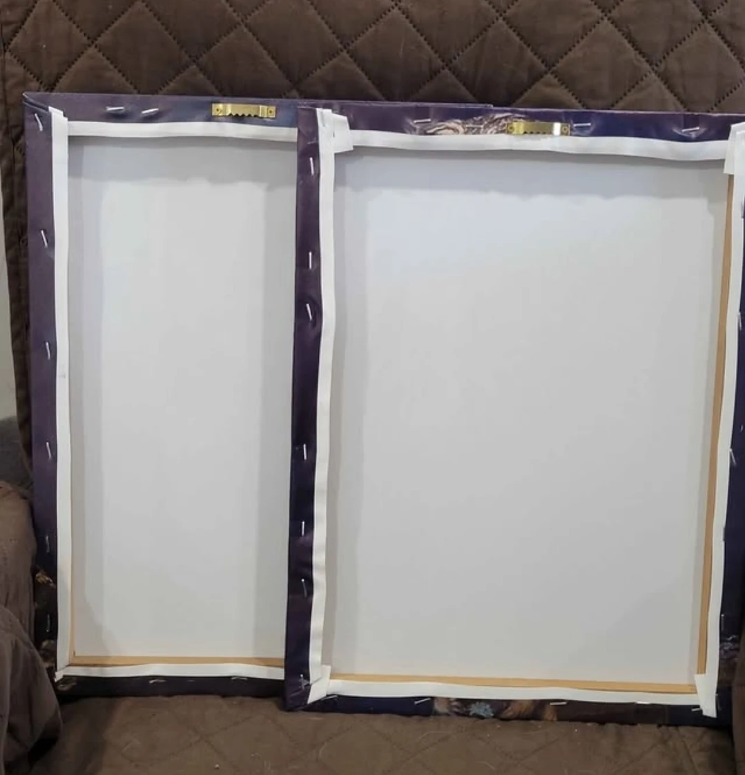 2 Owl Canvas Pictures ($10 for both) - photo 3