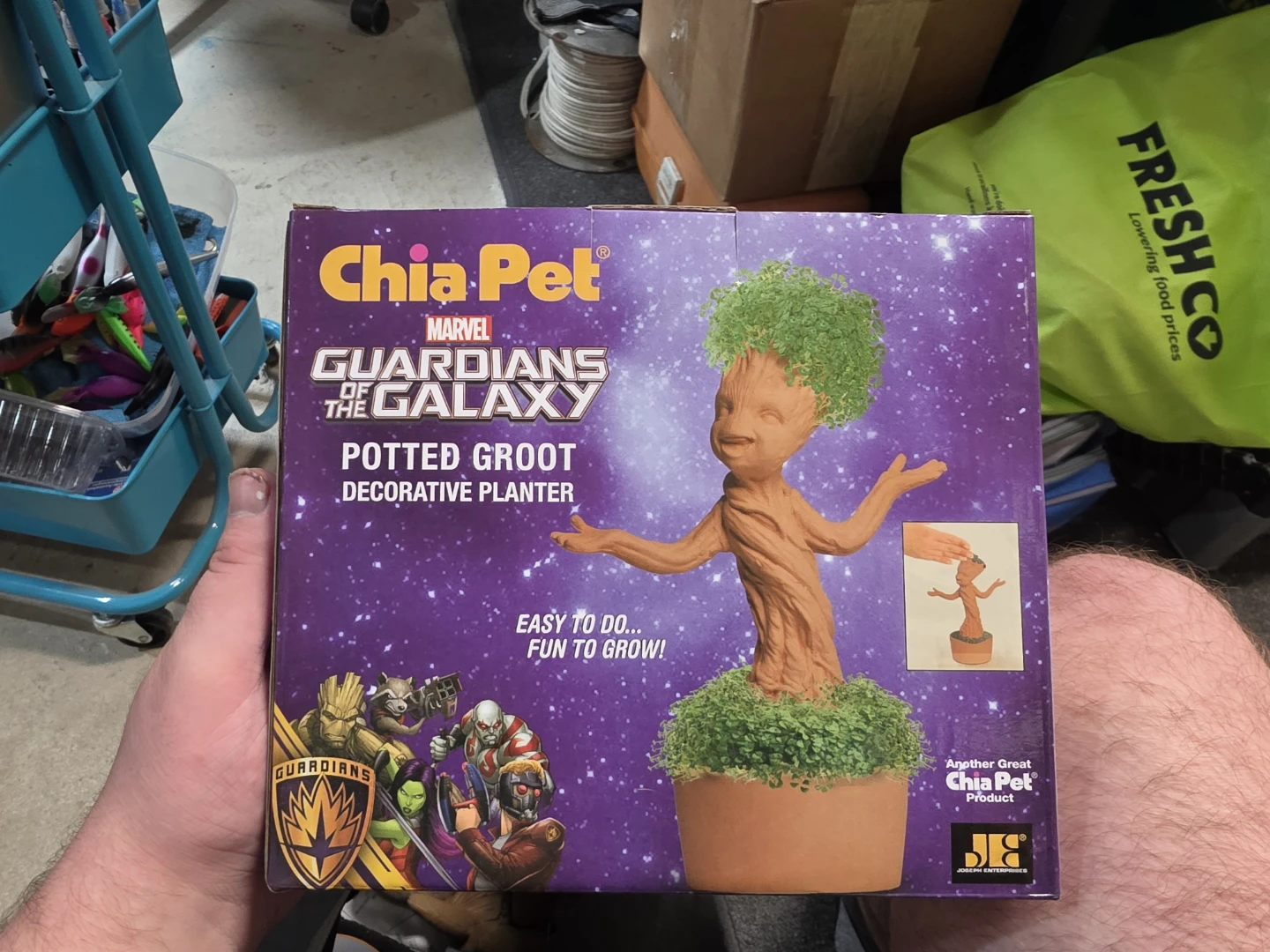 Chia Pet Marvel Guardians of the Galaxy Potted Groot