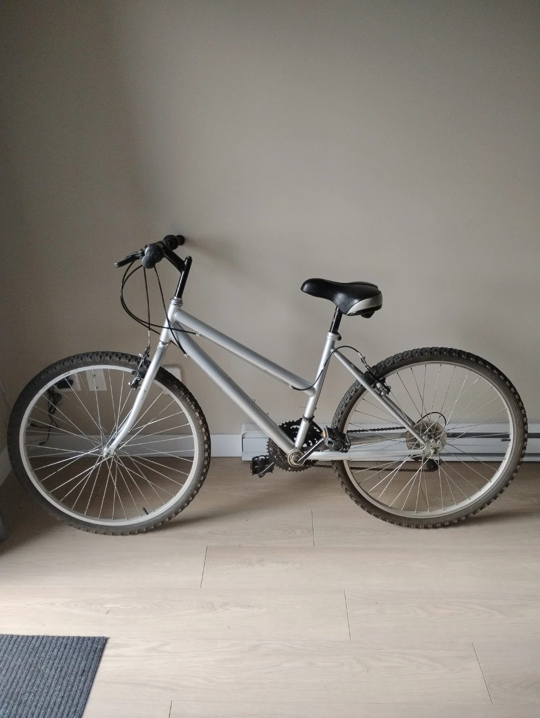 Silver Mountain Bike