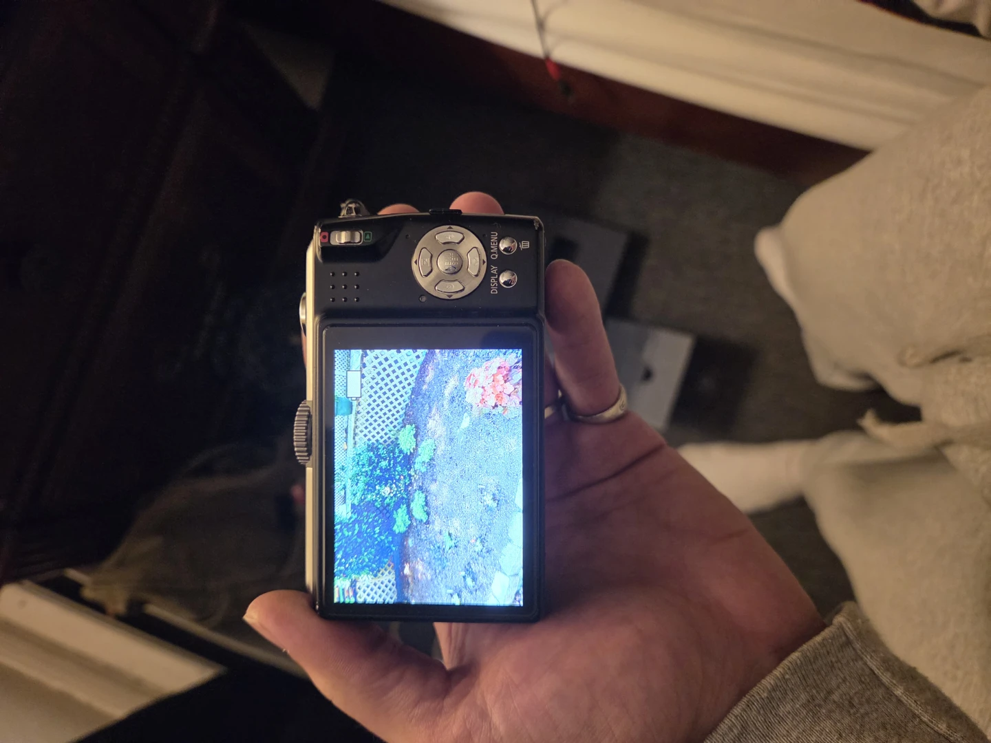 Panasonic Lumix DMC-TZ5 Digital Camera - photo 3