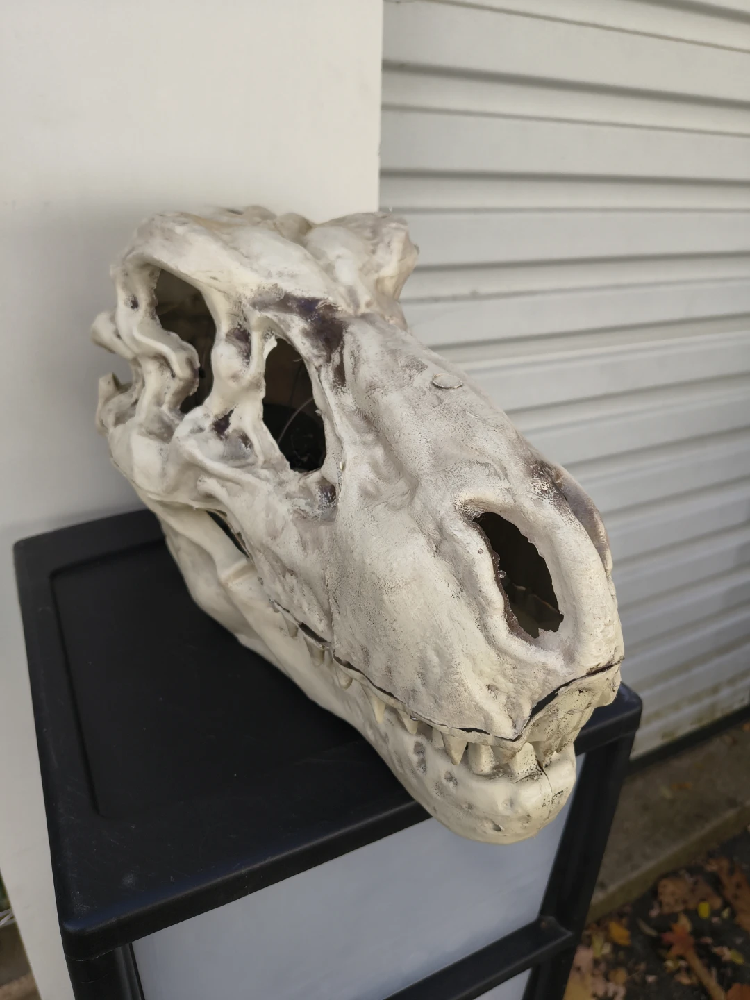 Halloween plastic dinosaur skull - photo 3