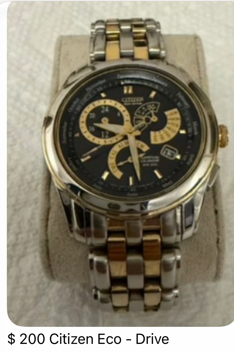 Citizen Eco-Drive Perpetual Calendar Watch