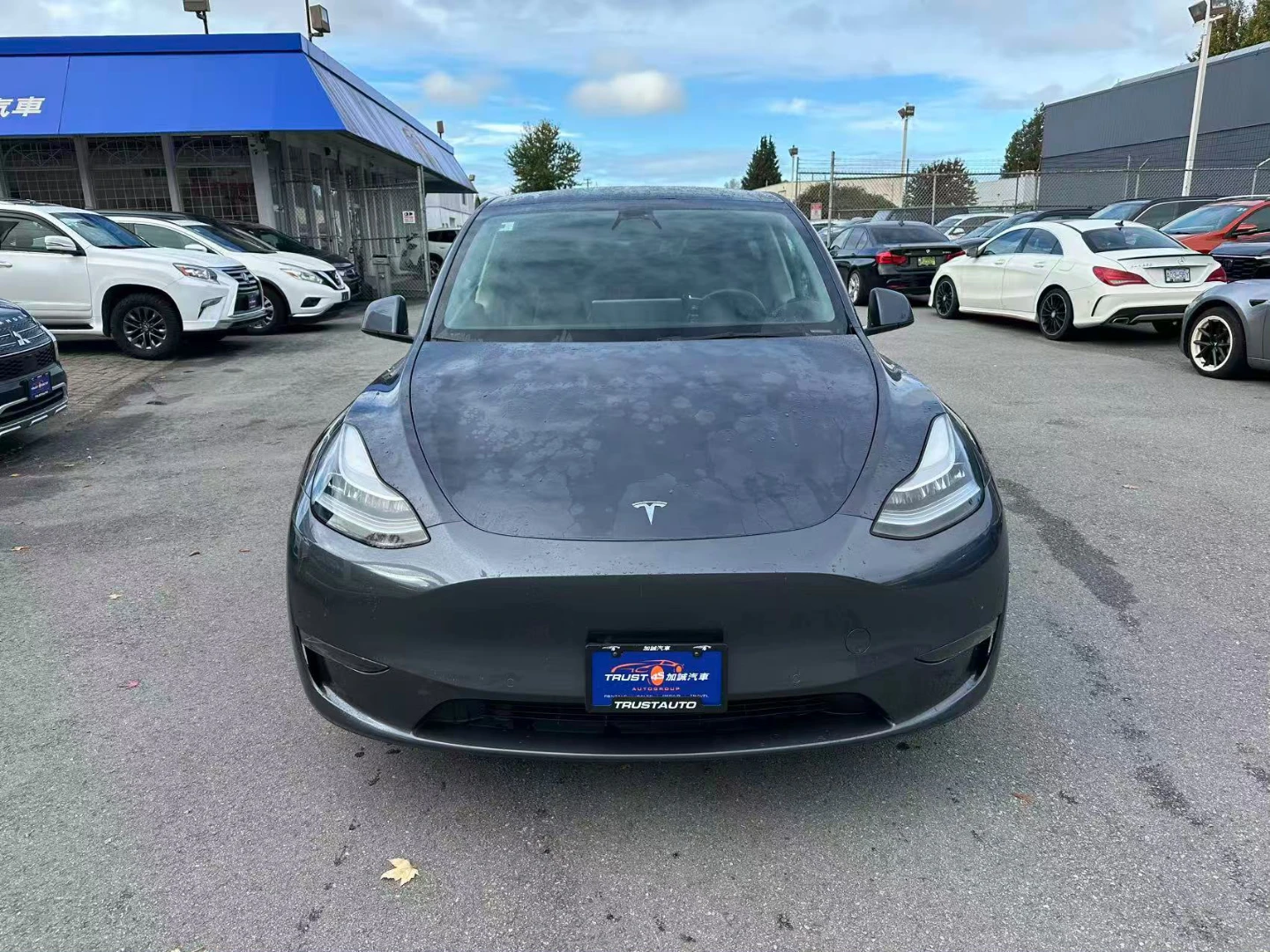 2021 Tesla Model Y