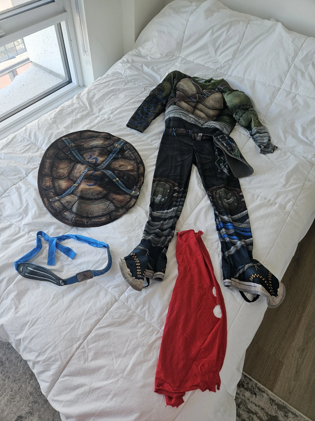 Teenage Mutant Ninja Turtles Costume Set