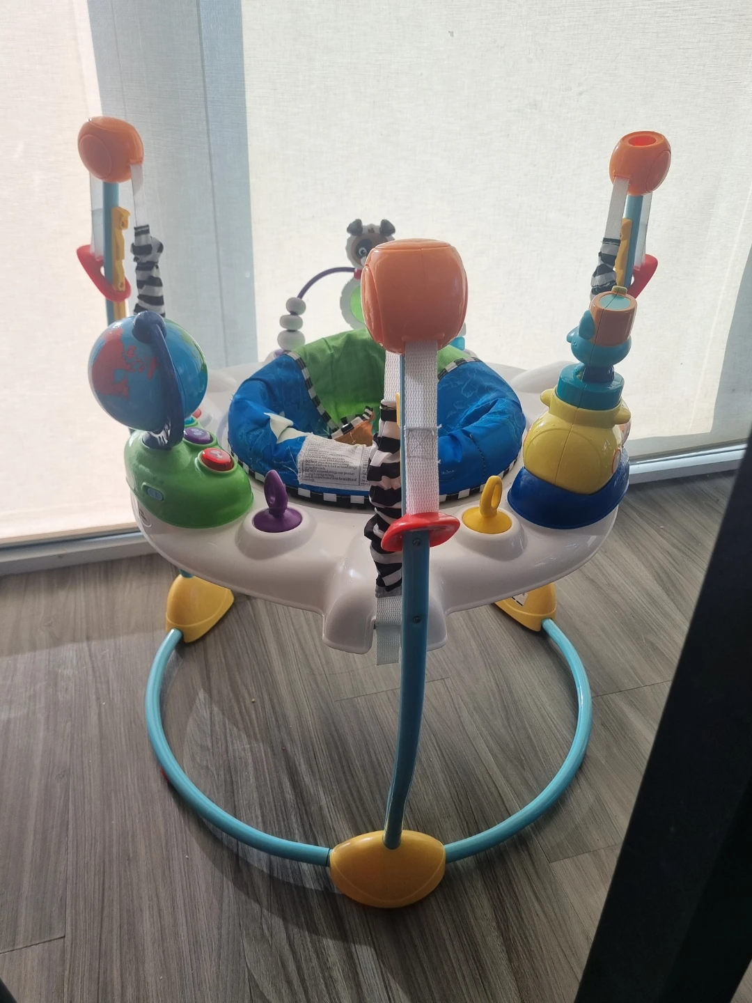 Baby Einstein Activity Jumper