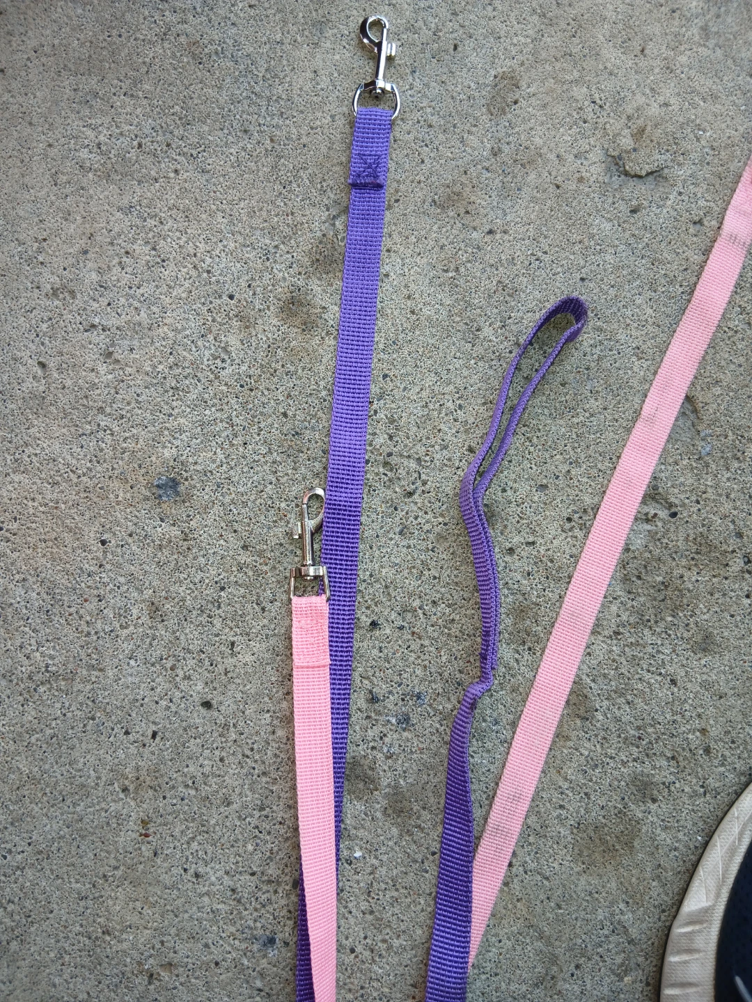 Two Nylon Dog Leashes - photo 2