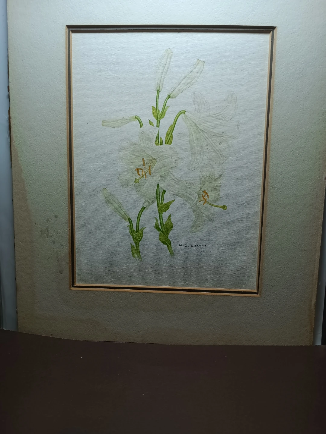 M.G. Loates Floral Art Print