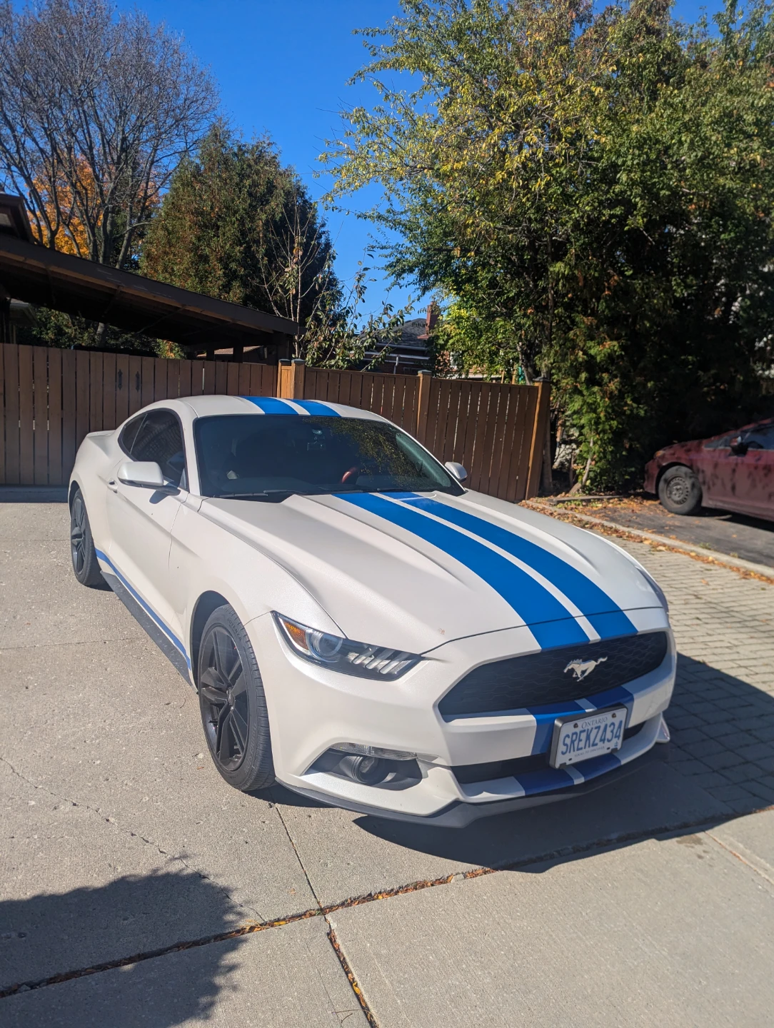 2017 Ford Mustang EcoBoost Premium Fastback - photo 2