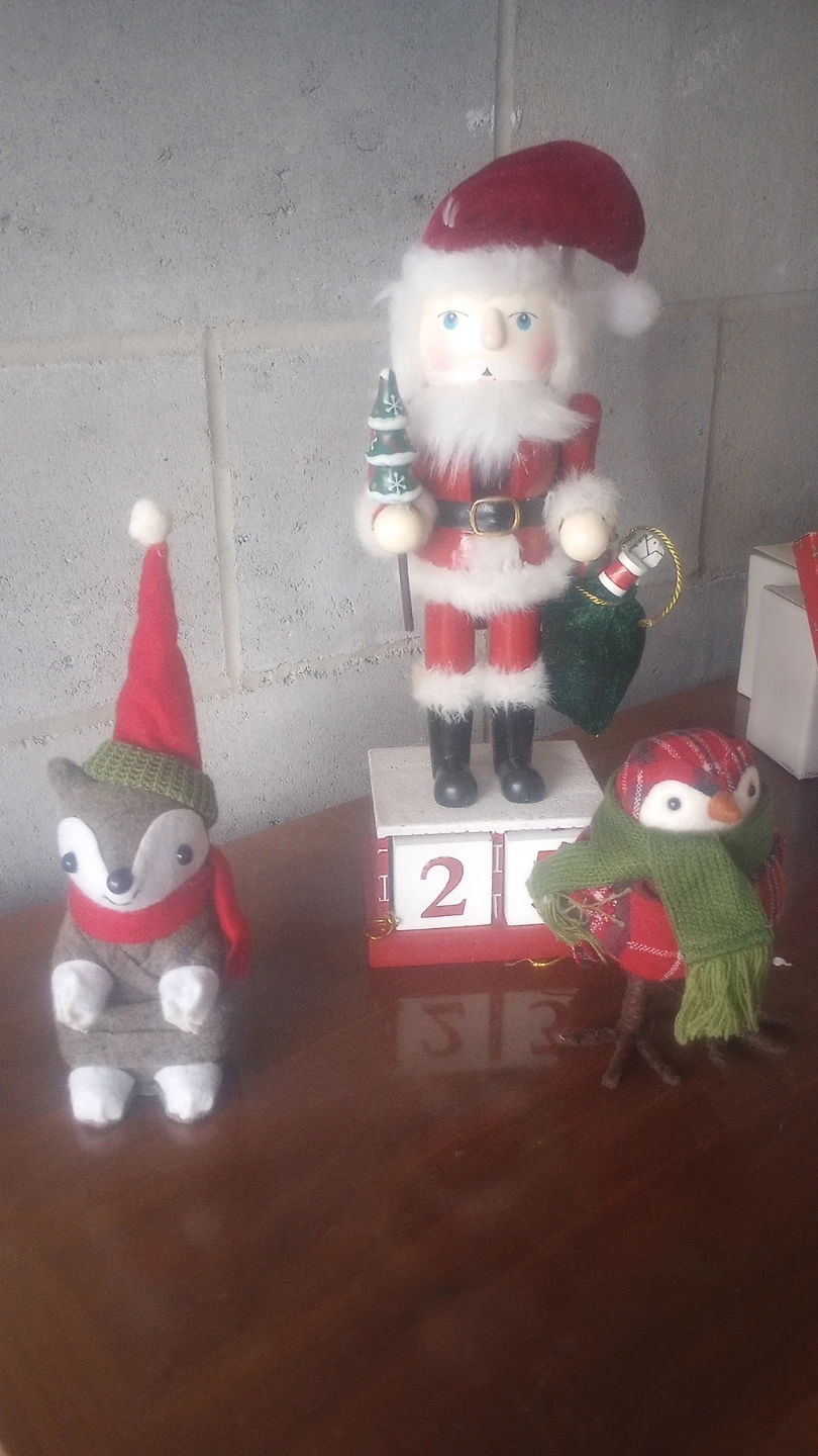 Christmas Santa Calendar and Felt Ornaments Set