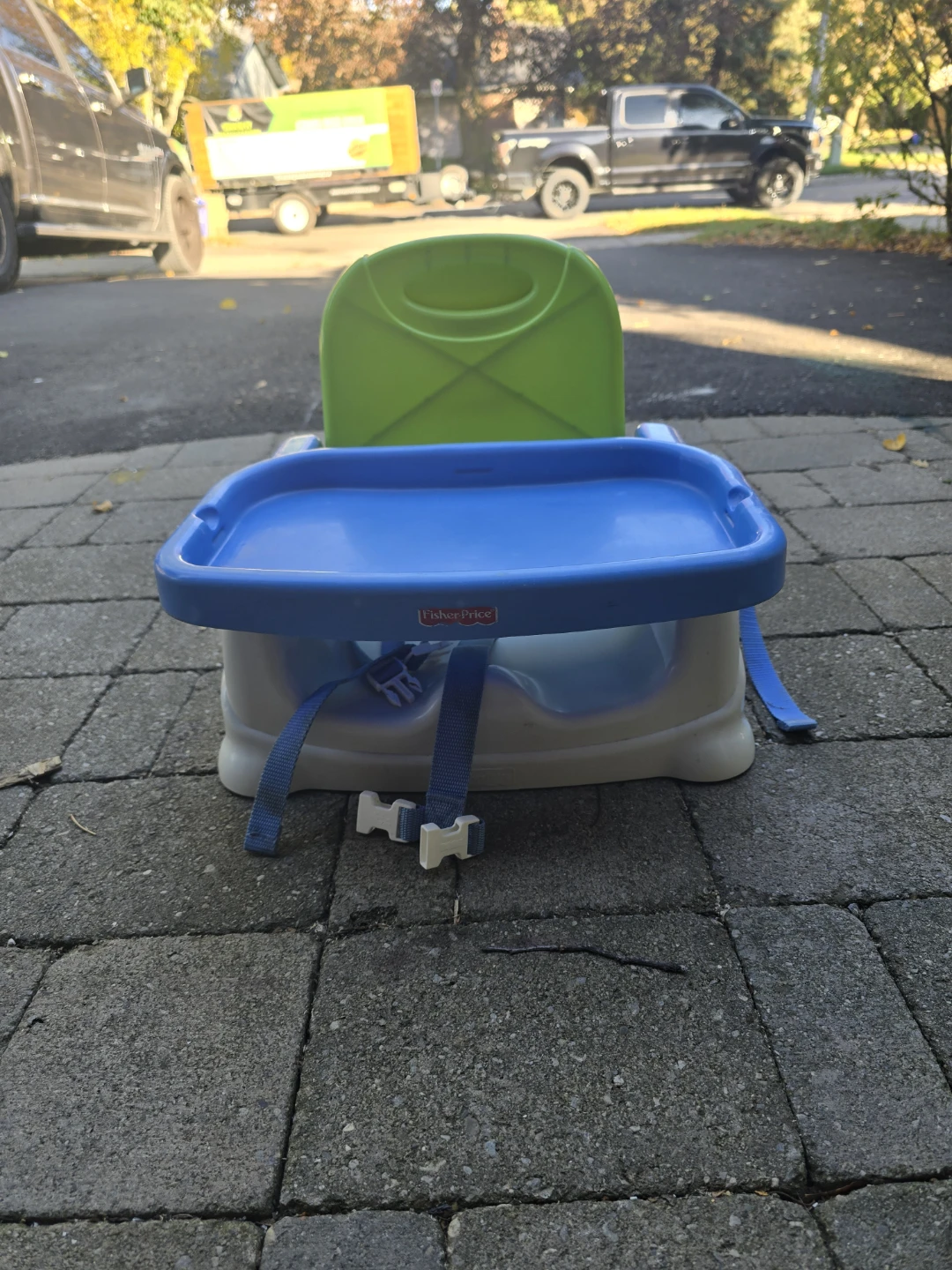 Fisher-Price Portable Booster Seat - photo 2