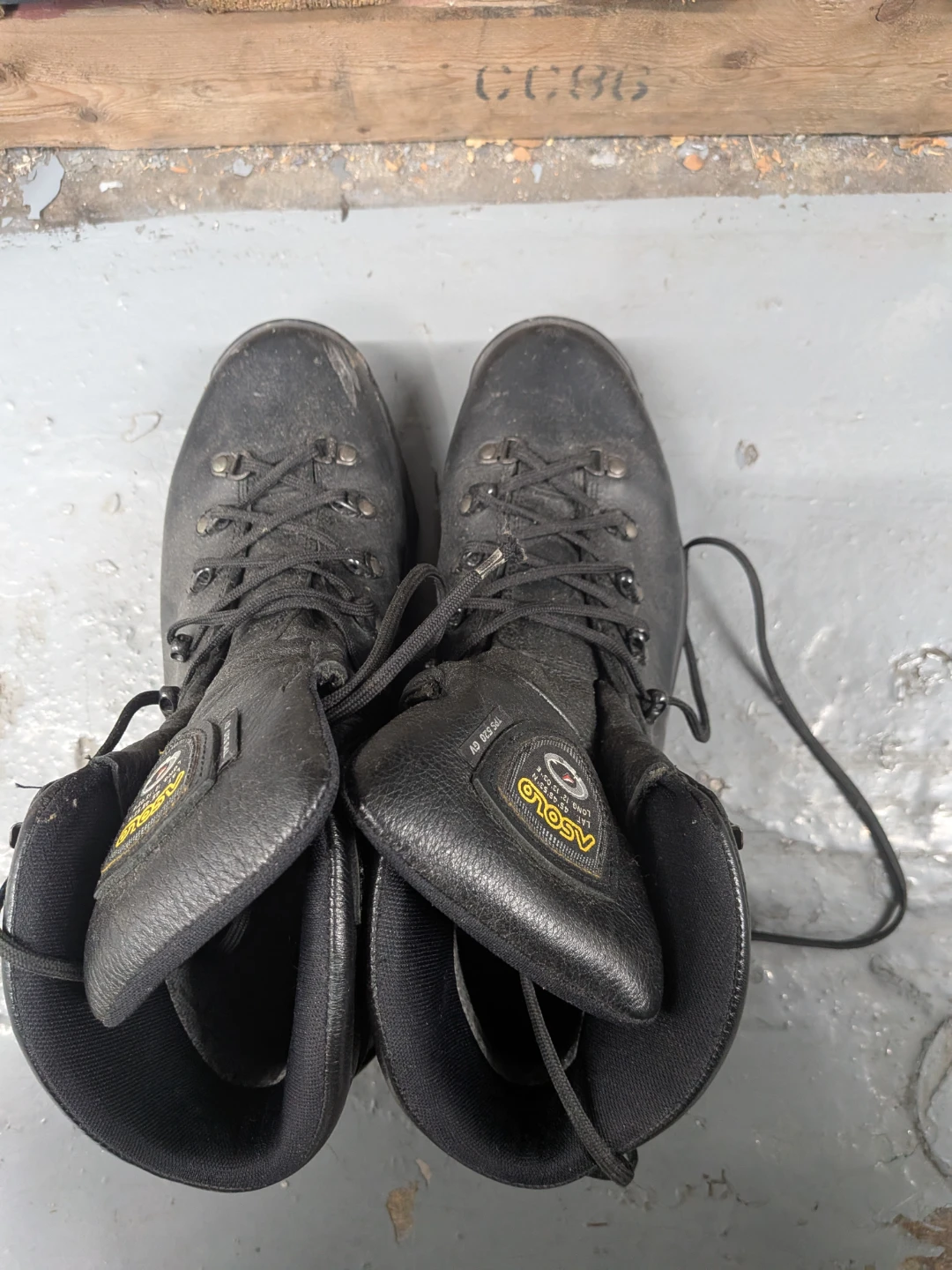 Asolo TPS 520 GV Hiking Boots