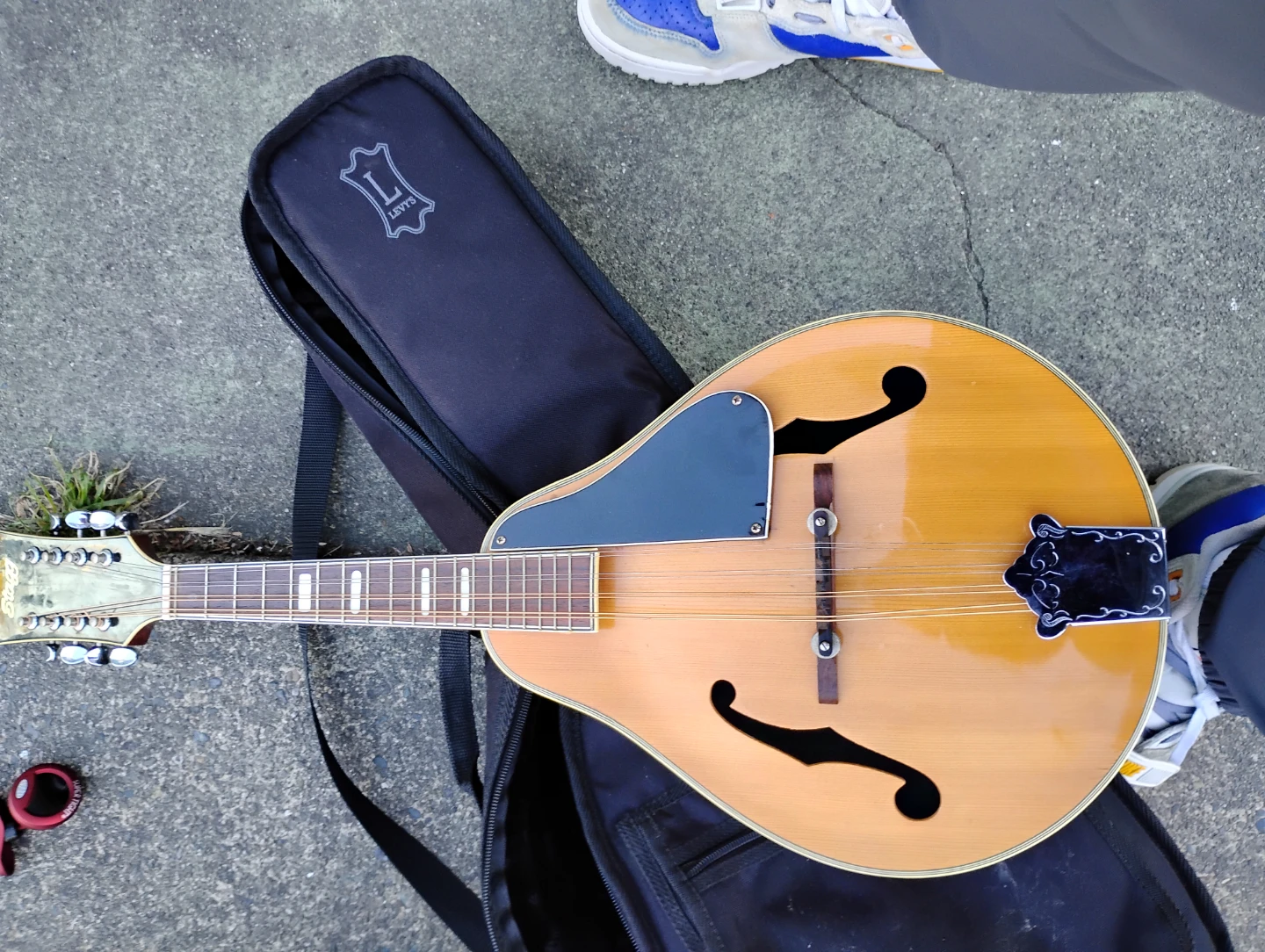 Stagg Mandolin with Levy's Gig Bag