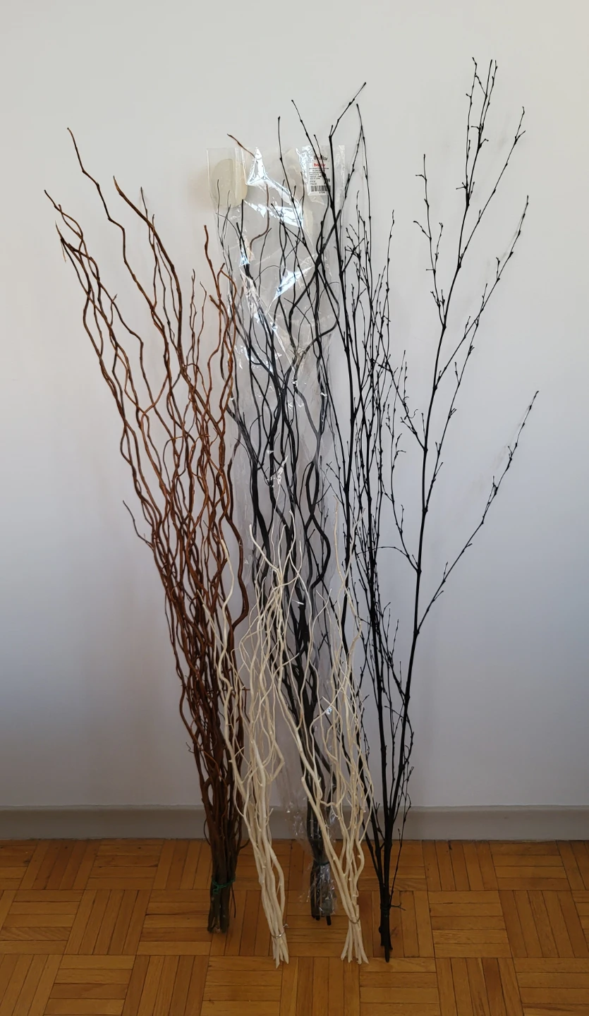 Decorative Curly Willow and Birch Branches